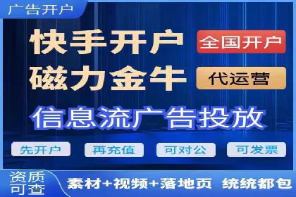 信息流广告的精准定位与效果优化案例分析